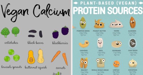 24 Charts That Show How Easy It Is To Go Vegan