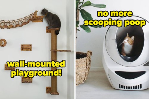 If You Have A House Full Of Cats, Check Out These 33 A+ Products