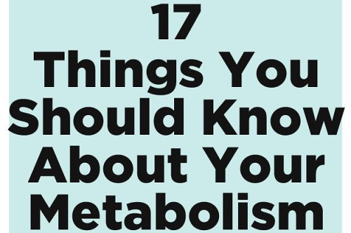 17 Things Everyone Should Know About Metabolism