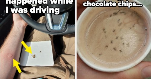 20 People Who Woke Up And Immediately Regretted Every Decision They Made That Day