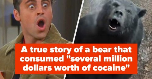The "Cocaine Bear" Trailer Is Out, And It's Everything You And The Internet Hoped It Would Be