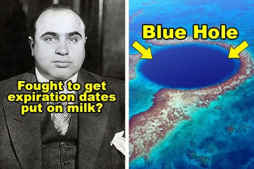 21 Things I Learned This Week That Sound Unbelievable, But Are 100% True