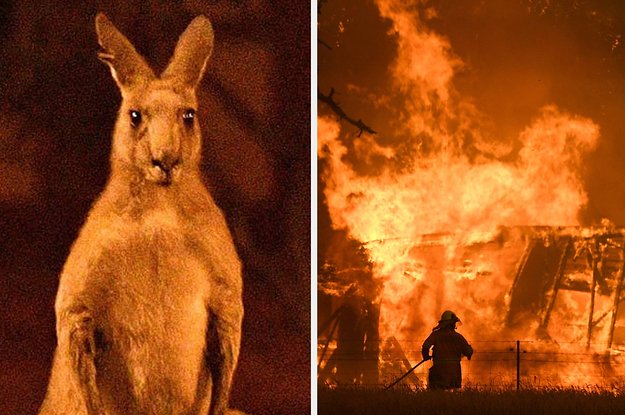 These Horrifying Pictures Show The Deadly Bushfires In Australia