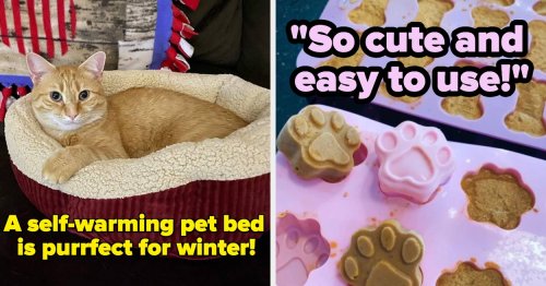 31 Things Your Pets Would Ask For If They Could Speak