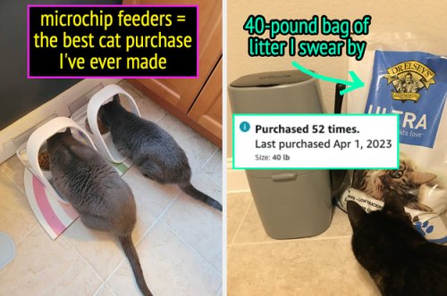 34 Things Anyone With Two Or More Cats May Want To Own