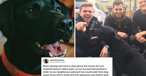 Four Guys Asked Their Neighbor If They Could Walk Her Dog. They Got A Letter Back From The Dog.