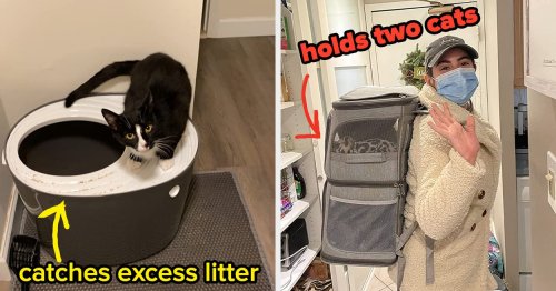30 Things Anyone With Two Or More Cats May Want To Own