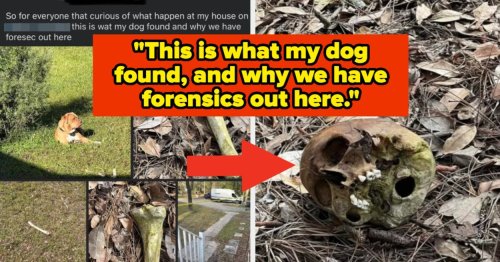 I'm Shaking As I Write This — These 14 Photos From The Internet This Week Are Frightening