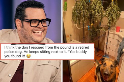 Literally Just 50 Hilarious Photos