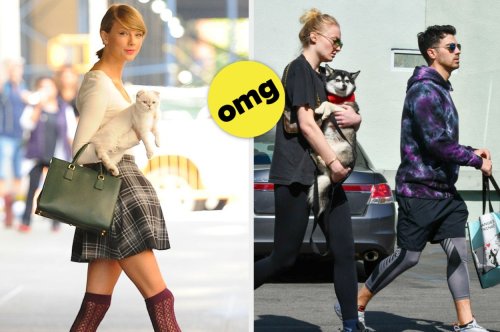 18 Adorable Celeb Pets That'll Make You Say "Awwww!"