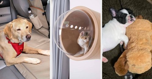 31 Pet Products That Are Worth Investing In For The New Year