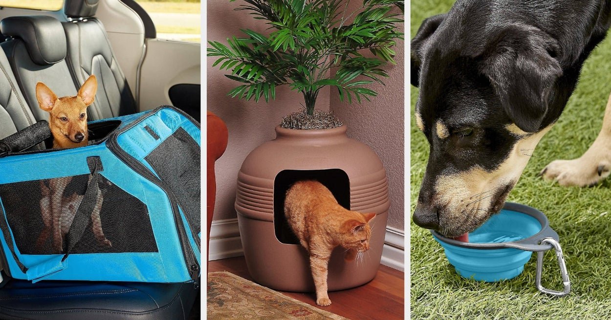 25 Things From Chewy You’ll Wonder Why You Didn’t Buy Sooner
