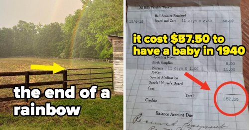 18 Extremely Random Things I Literally Just Found Out That Completely And Totally Blew My Mind This Week