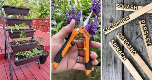 40 Items To Help You Enter Your Gardening Era