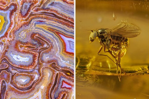 The Best Photos Taken Through Microscopes Will Blow You Away