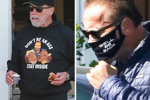 Arnold Schwarzenegger Is Truly Living His Best Life In Quarantine