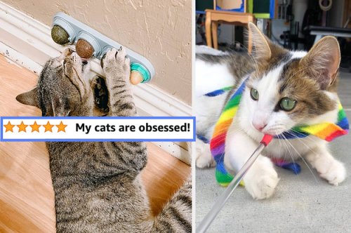 If Your Cat Is The Center Of Your Universe, These 30 Pet Products Will Earn You Infinite Cuddles