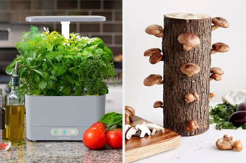 28 Gardening Kits That'll Probably Blossom Into Your New Favorite Activity