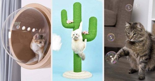 32 Things Even The Biggest Cat Lover Probably Doesn't Own Yet