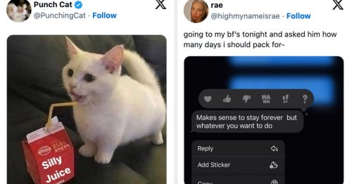 Just 21 Comfy, Wholesome, And Soothing Tweets From This Week For Anyone Who Needs A Lil' Break From All The Chaos