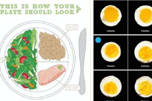17 Charts To Help You Eat Healthy