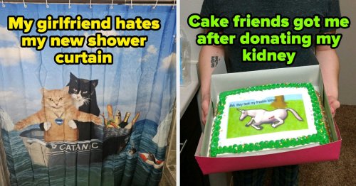 Literally Just 54 Funny Photos That Made Me Laugh Through The General Pain Of Existence