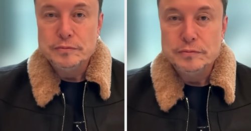 Elon Musk Threw A Little Tantrum When A Journalist Asked Him About DOGE, And It Is Deeply Weird