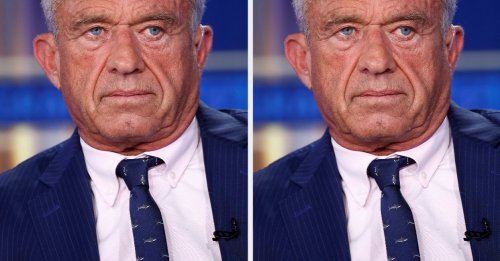 RFK Jr. Just Dropped A Bird Flu Take So Alarming That Scientists Are Like, "Please Don't"