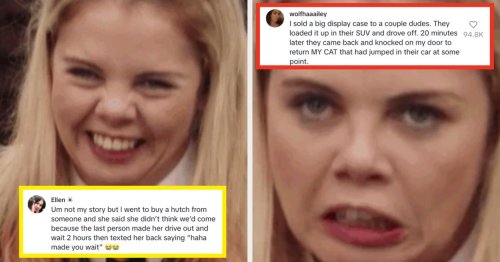 "My Cat Was Inside A Display Case I Sold To Someone On Facebook Marketplace": People Are Sharing Their Most Unhinged Facebook Marketplace Stories, And I Haven't Been This Entertained In A While