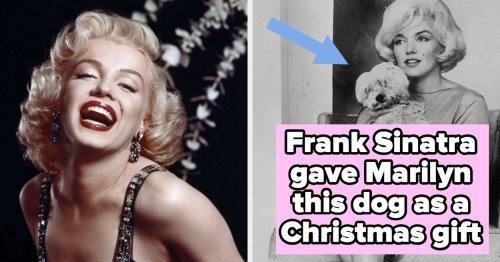 The Truth About Marilyn Monroe And The Kennedys, The Reason Why Hugh Hefner Is Buried Next To The Actor, And 19 Other Fascinating Facts And Stories About The Life Of Marilyn Monroe