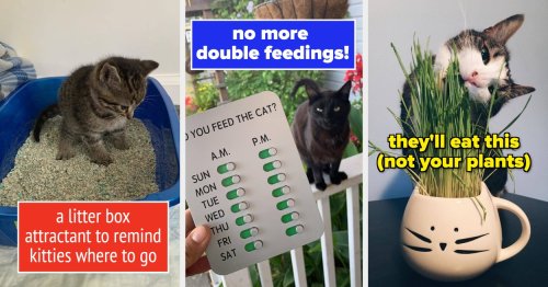 33 Useful Products To Solve Common Cat Owner Problems