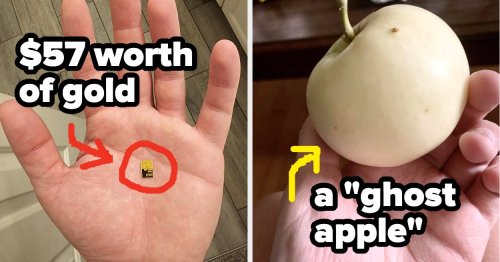Okay, Literally Every Single One Of These 21 Things I Just Found Out Completely And Totally Blew My Mind Last Week