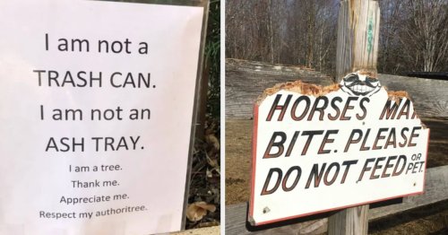 18 Funny Signs This Week That Made Me Laugh More Than Any Male Comedian I've Ever Paid To See