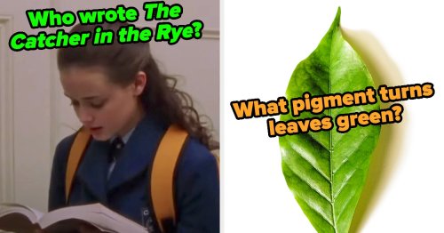 Only Current And Former Gifted Kids Will Be Able To Score 100% On This Random High School Knowledge Quiz