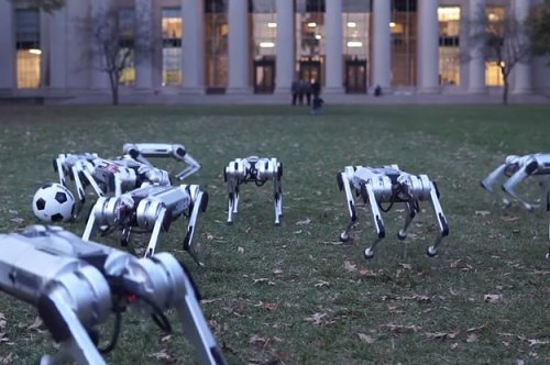 Watch MIT's 'Virtually Indestructible' Mini Cheetah Robots Do Backflips and Play Soccer