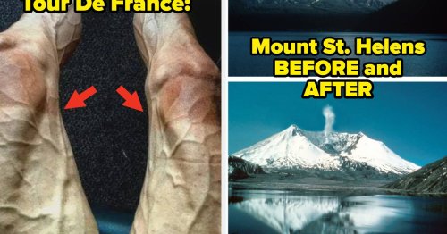 My Entire Body Is Still In Complete Shock After Seeing These 30 Fascinating Pictures For The Very First Time Last Week
