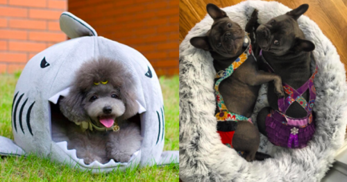 21 Of The Best Dog Beds You Can Get On Amazon