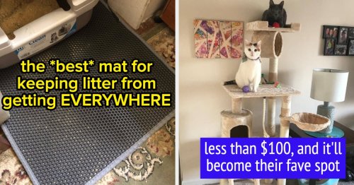 If You've Got At Least Two Cats Running Around Your Home, Check Out These Useful Products