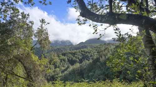 Warum La Palma die perfekte Insel für Naturliebhaber und Wanderfreunde ist