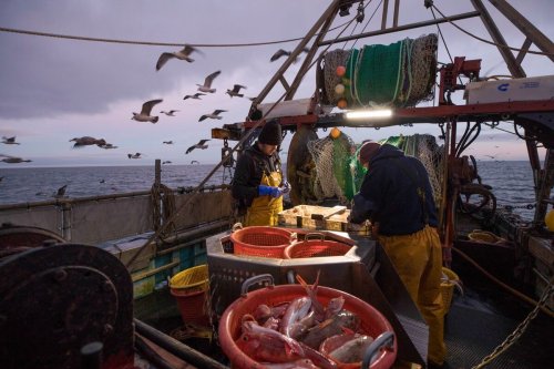 UK and EU Haggling Over Fish and Food Days Before Reset Summit