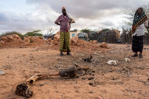Drought Ravaging East Africa Bankrupts Farmers, Empties Schools