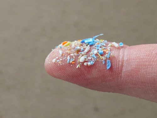 Once Thought Impossible, Microplastics Found in Live Human Lungs for First Time