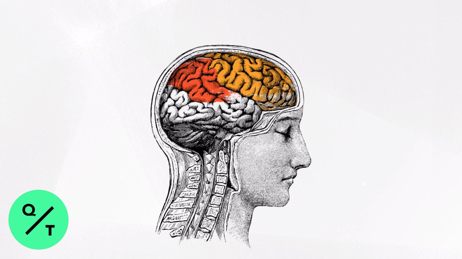 Brain, Energy Medicine, Pineal Gland cover image