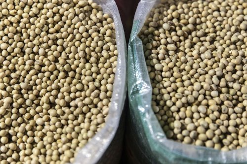 China Slashes US Commodities Purchases as Trade Tensions Worsen