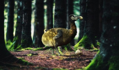 This Billion-Dollar Startup Wants to Bring Back the Dodo