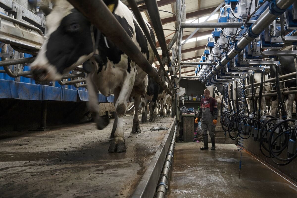 Methane-Eating Microbes Show Promise for Wiping Out Planet-Warming Emissions