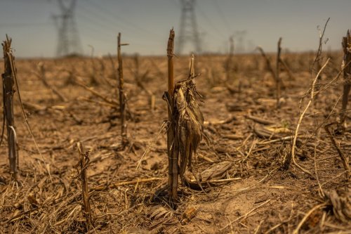 The World Is Quietly Losing the Land It Needs to Feed Itself