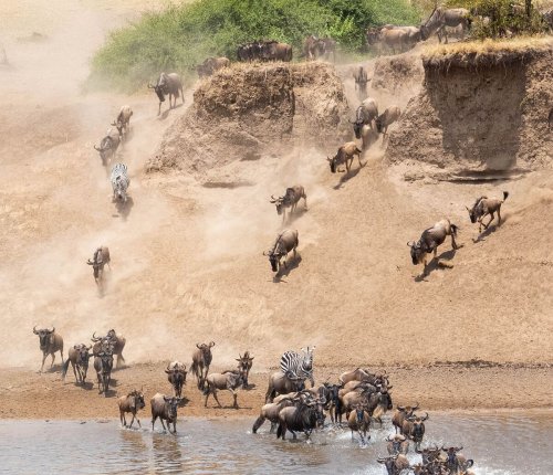 Tanzania Travel: This Luxury Lodge Offers the Best Safari in the Serengeti