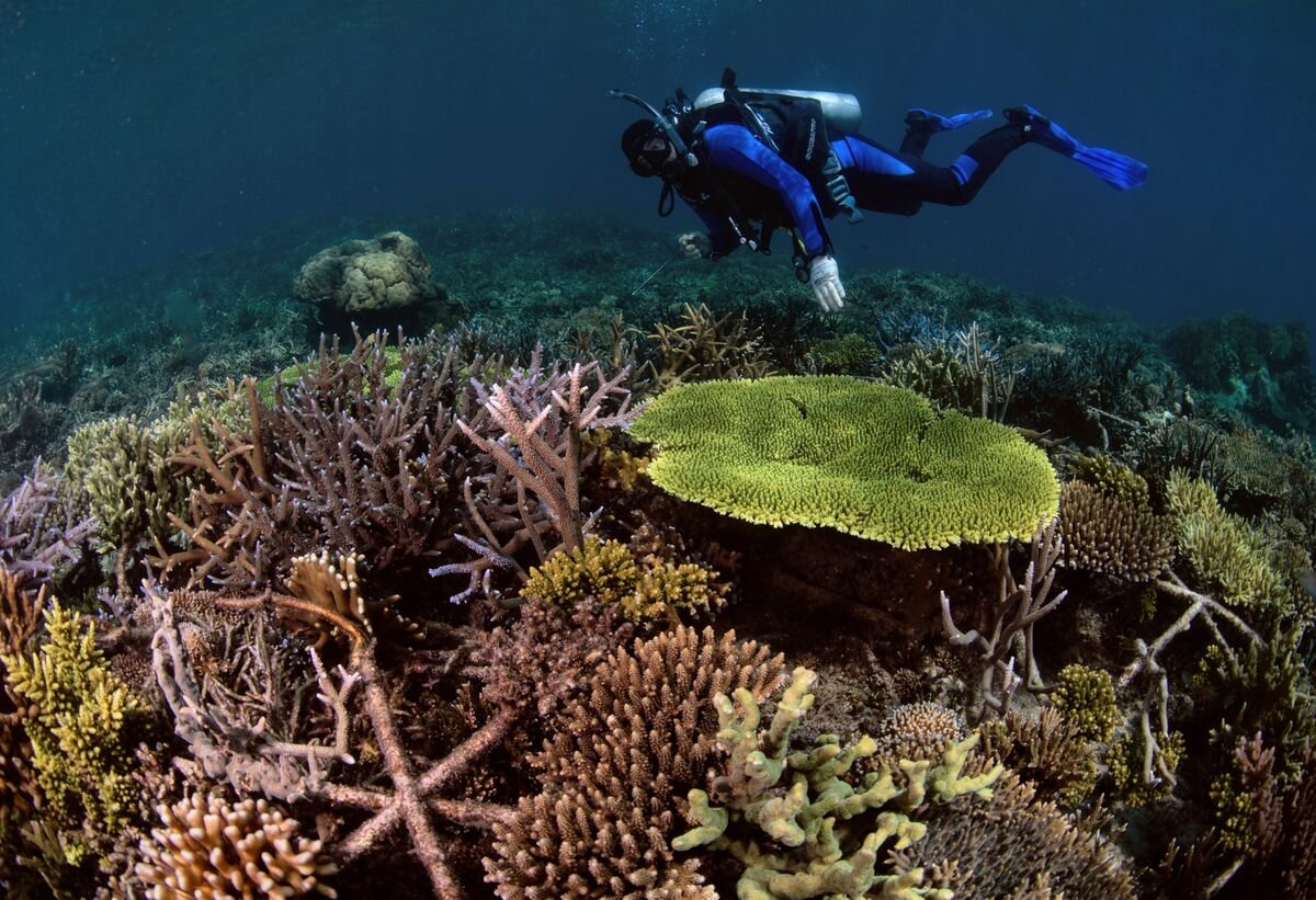 Here Are Four Good Examples of How to Reverse Environmental Damage
