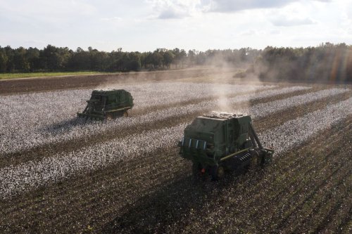 South Carolina Proposes Anti-ESG Bill Aimed at Backing Farmers